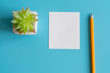 Minimal flat lay : notepad , pencil , cactus , on light blue pastel background , top view , work space. copy space.