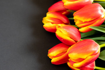 Red tulips on the black background. Flat lay, top view. Woman day background	