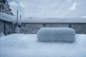 New Snowfall Overnight