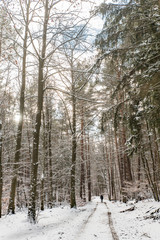 Einsamer Spaziergänger im Schnee bedeckten Wald