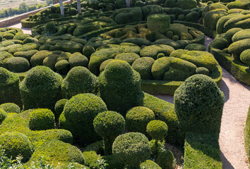  Topiary in the gardens of the Jardins de Marqueyssac in the Dordogne region of France