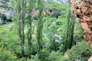 nature near the Roski slab waterfalls, N.P. Krka, Croatia