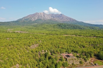 桜島の溶岩遊歩道