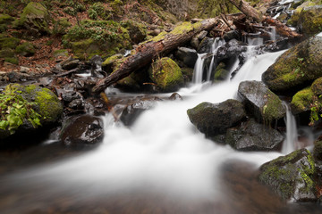 Fototapeta na wymiar Starvation Creek Falls at Columbia River Gorge in Oregon