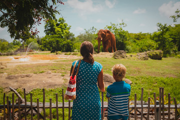 mother and son looking at elephants in zoo - obrazy, fototapety, plakaty