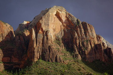 Fototapeta na wymiar National park Utah Mountains Zion