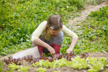 Little girl working in the garden