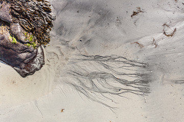 Sandy beach rocks and seaweed