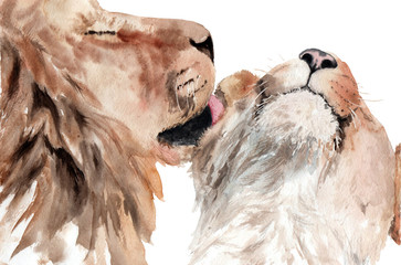 watercolor painting lions couple in love. kiss the lion © Toshka