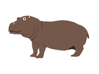 Color illustration of a hippopotamus. Isolated vector object on white background.