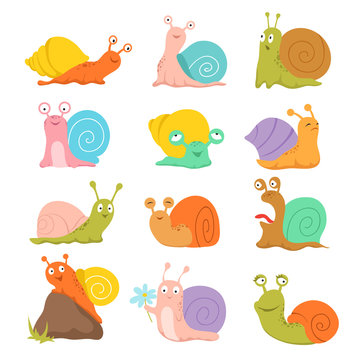 Cartoon snail. Cute slug, mollusk with shell and escargot. Funny animals vector characters. Snail slug, mollusk in shell, slow wildlife illustration