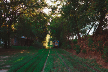 leaf tunnel for tram