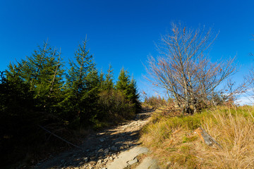 Landscape during trekking Beskidy mountains