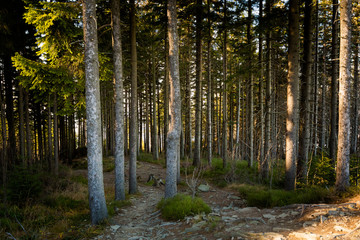 Landscape during trekking Beskidy mountains