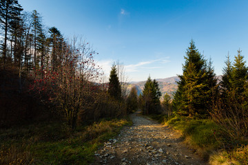 Fototapeta na wymiar Landscape during trekking Beskidy mountains