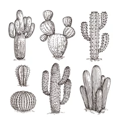 Foto op Canvas Hand drawn cactus. Western desert cacti mexican plants in sketch style. Cactuses doodle vector set. Illustration of wild cactus with thorn © MicroOne
