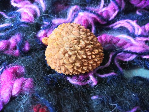 lychee fruit 2