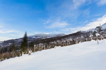 Obraz premium Winter skitour trekking Beskidy mountains