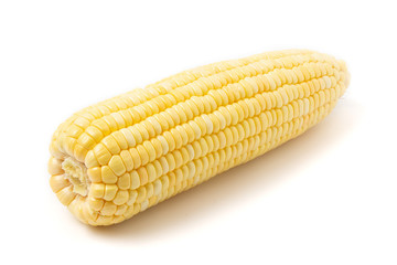 Corn isolated on white background