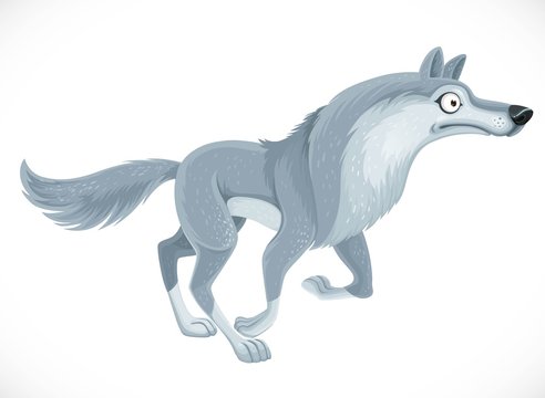 Wild cartoon gray wolf run forward isolated on white background