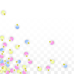 Vector Realistic Colorful Petals Falling on Transparent Background.  Spring Romantic Flowers Illustration. Flying Petals. Sakura Spa Design. Blossom Confetti. Design Elements for Wedding Decoration.