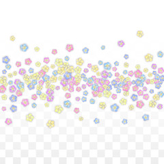 Colorful Vector Realistic Petals Falling on Transparent Background.  Spring Romantic Flowers Illustration. Flying Petals. Sakura Spa Design. Blossom Confetti. Design Elements for Wedding Decoration.
