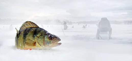 Foto op Plexiglas Wintervissen op de rivier. © kremldepall
