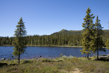 View from mountain hut Pårte