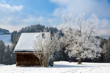 Winterlandschaft Rorschacherberg