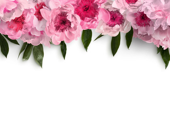 Fiori e colori 