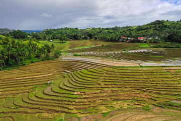 Rice terraces in the Philippines. Rice cultivation in the North of the Philippines, Batad, Banaue.