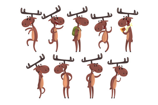 Cartoon set of funny brown moose in various poses. Eurasian elk with big horns Mammal forest animal character. Zoo theme. Flat vector for postcard or children s book