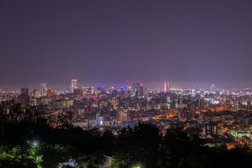 Fototapeta na wymiar 旭山公園から見る札幌市内の夜景