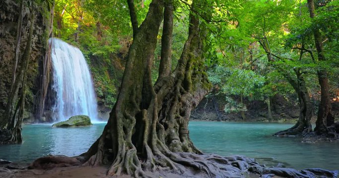 Amazing nature of Thailand. Waterfall and tree with large roots in beautiful jungle forest