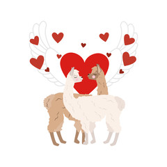 Llama in love