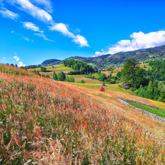 Beautiful countryside landscape with forested hills and haystacks on a grassy rural field in mountains