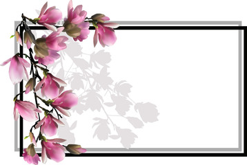 magnolia flower branch in simple frame on white