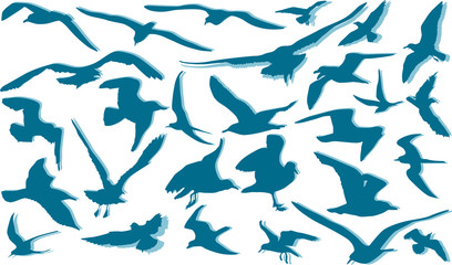 fifteen gulls blue silhouettes on white background