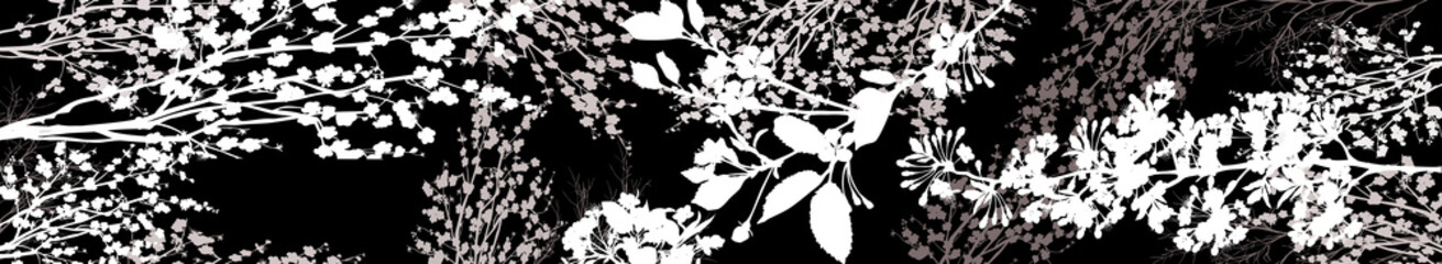 Obraz premium light spring tree blossoming branches on black stripe