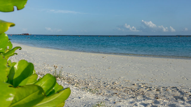 Strand  mit Pflanzen und T&uuml;rkis wasser von Adaaran Select Meedhupparu auf Malediven im Indischen Ozean