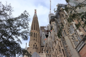 Naklejka premium Sagrada Familia