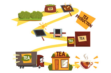 Tea production, tea manufacturing process from plantation to shop cartoon vector illustration