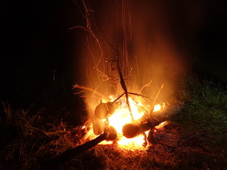 Bonfire in the mountains. At night, an old tree is burning.