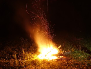 Bonfire in the mountains. At night, an old tree is burning.