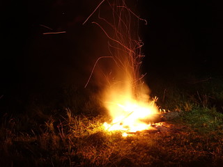 Bonfire in the mountains. At night, an old tree is burning.