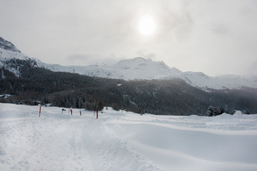 Fototapeta na wymiar Surlej, Silvaplana, Corvatsch, Winter, Wintersport, Langlauf, Oberengadin, Graubünden, Alpen, Schweiz