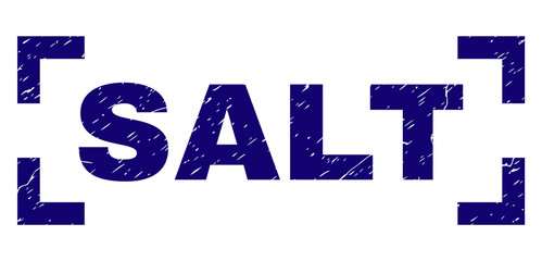SALT text seal print with corroded texture. Text tag is placed inside corners. Blue vector rubber print of SALT with grunge texture.