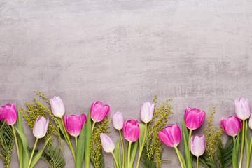 Spring greeting card, pastel color tulips on the gray background.