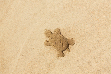 toys, childhood and vacation concept - sand shape made by turtle mold on summer beach