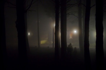 Naklejka premium Eerie misty scene